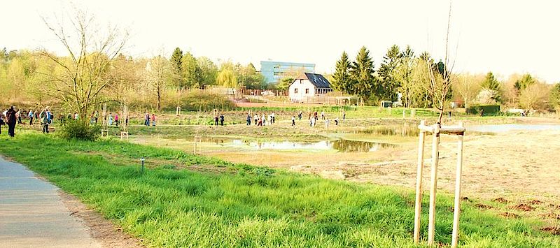 Rund 300 Gäste bei Führung zu römischen Fundstätten im Gonsbachtal
